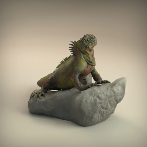 35130224_resize-iguana3.jpg