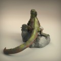 35130224_resize-iguana5.jpg