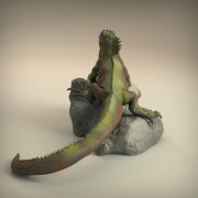 35130224_resize-iguana5.jpg