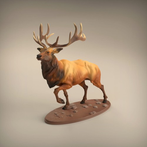 35130416_resize-elk1.jpg