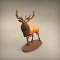 35130416_resize-elk2.jpg
