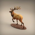 35130416_resize-elk5.jpg
