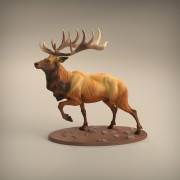 35130416_resize-elk6.jpg