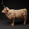 35130306_highland_cow_tongue_1.jpg