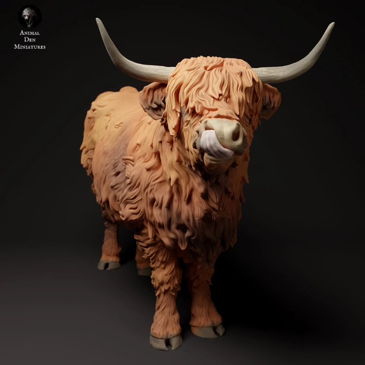 35130306_highland_cow_tongue_3.jpg