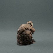 35130217_resize-beaver-4.jpg