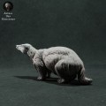 35130418_resize-badger-4.jpg